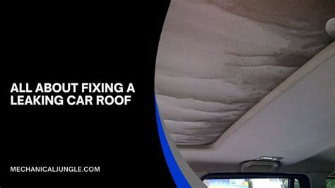 car roof leak repair|Car Roof Repair: The Ultimate Guide to Fixing Your。